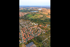Vue aérienne de Anneau de fleurs, Buchstr. à Jockgrim dans le département Rhénanie-Palatinat, Allemagne