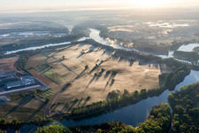 Île de Flotzgrün à Speyer dans le département Rhénanie-Palatinat, Allemagne d'en haut