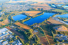 Vue aérienne de Wammsee et Steinhäuserwühlsee à le quartier Ludwigshof in Speyer dans le département Rhénanie-Palatinat, Allemagne