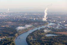Vue aérienne de Rhin entre Altrip et Rheinau à Altrip dans le département Rhénanie-Palatinat, Allemagne