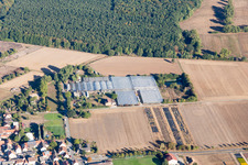 Vue aérienne de Jörg Wolter Pépinière des Gorges de l'Ute à le quartier Hergershausen in Babenhausen dans le département Hesse, Allemagne