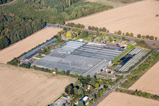 Vue aérienne de Seligenstadt dans le département Hesse, Allemagne