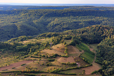 Vue aérienne de Anciens vignobles à flanc de colline avec champs et haies à le quartier Zell am Ebersberg in Knetzgau dans le département Bavière, Allemagne