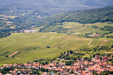 Vue oblique de Silence, montagne ensoleillée à le quartier Rechtenbach in Schweigen-Rechtenbach dans le département Rhénanie-Palatinat, Allemagne