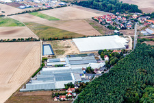Vue aérienne de Zones de toit en verre dans les rangées de serres pour la culture de fleurs à le quartier Düllstadt in Schwarzach am Main dans le département Bavière, Allemagne