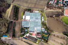 Vue aérienne de Jardinage de géraniums à Hagenbach dans le département Rhénanie-Palatinat, Allemagne