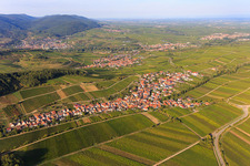 Photographie aérienne de Aperçu du village viticole entre les vignobles du sud à Ranschbach dans le département Rhénanie-Palatinat, Allemagne