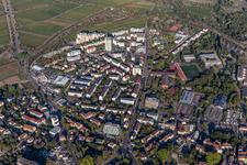 Vue aérienne de Neustadt an der Weinstraße dans le département Rhénanie-Palatinat, Allemagne