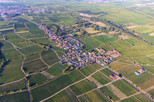 Vue aérienne de Vue du village viticole entre les vignes depuis le sud à le quartier Forst in Forst an der Weinstraße dans le département Rhénanie-Palatinat, Allemagne