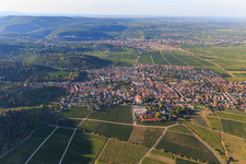 Vue aérienne de Vue du village viticole entre les vignes depuis le sud à le quartier Wachenheim in Wachenheim an der Weinstraße dans le département Rhénanie-Palatinat, Allemagne