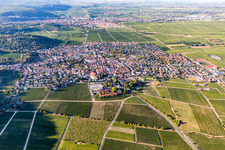 Vue aérienne de Vue sur la ville en bordure des vignes à le quartier Wachenheim in Wachenheim an der Weinstraße dans le département Rhénanie-Palatinat, Allemagne