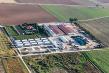 Vue aérienne de Stubenbordt GmbH & Co. KG Hortulanushof à Zeiskam dans le département Rhénanie-Palatinat, Allemagne