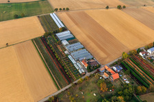 Vue aérienne de Crèche à Neumühle à Vollmersweiler dans le département Rhénanie-Palatinat, Allemagne