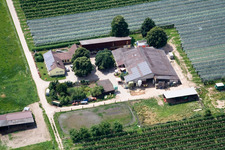 Ferme d'asperges et de fruits de Gensheimer à Lindenhof à Steinweiler dans le département Rhénanie-Palatinat, Allemagne d'en haut
