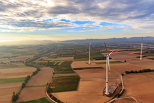 Parc éolien EnBW - éolienne avec 6 éoliennes à Freckenfeld dans le département Rhénanie-Palatinat, Allemagne vue du ciel