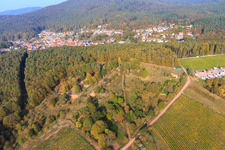 Jardin à l'orée de la forêt à Dörrenbach dans le département Rhénanie-Palatinat, Allemagne hors des airs