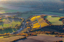 Vue aérienne de Vignobles dans la lumière du soir à le quartier Stetten in Karlstadt am Main dans le département Bavière, Allemagne
