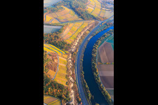 Vue aérienne de Vignobles au-dessus du terroir principal de Karlstadt - Vin et Main à le quartier Stetten in Karlstadt am Main dans le département Bavière, Allemagne