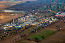 Vue aérienne de Quincaillerie Hornbach du sud-ouest à le quartier Dreihof in Bornheim dans le département Rhénanie-Palatinat, Allemagne