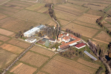 Vue aérienne de Ensemble immobilier de l'Institut Julius Kühn Rebforschungsanstalt Geilweilerhof à Siebeldingen dans le département Rhénanie-Palatinat, Allemagne