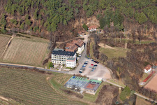 Vue aérienne de Maison sur le vignoble à Sankt Martin dans le département Rhénanie-Palatinat, Allemagne