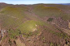 Vue aérienne de Chapelle du Wetterkreuzberg à Maikammer dans le département Rhénanie-Palatinat, Allemagne