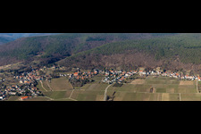 Vue aérienne de Paysage viticole des terroirs viticoles à le quartier Haardt in Neustadt an der Weinstraße dans le département Rhénanie-Palatinat, Allemagne