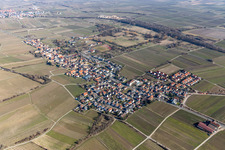 Vue aérienne de Vignobles à le quartier Forst in Forst an der Weinstraße dans le département Rhénanie-Palatinat, Allemagne