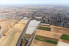 Vue aérienne de Quartier Assenheim in Hochdorf-Assenheim dans le département Rhénanie-Palatinat, Allemagne