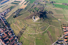 Vue aérienne de Ruines et vestiges des murs de l'ancien château de Staufen sur un vignoble conique à Staufen im Breisgau dans le département Bade-Wurtemberg, Allemagne