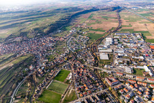 Vue aérienne de Bahlingen am Kaiserstuhl dans le département Bade-Wurtemberg, Allemagne