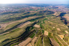 Vue aérienne de Riegel am Kaiserstuhl dans le département Bade-Wurtemberg, Allemagne