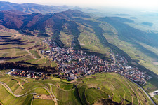 Vue aérienne de Paysage viticole des régions viticoles du Kaiserstuhl en Kiechlinsbergen à le quartier Kiechlinsbergen in Endingen am Kaiserstuhl dans le département Bade-Wurtemberg, Allemagne