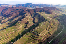 Vue aérienne de Endingen am Kaiserstuhl dans le département Bade-Wurtemberg, Allemagne