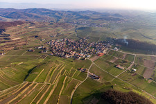Vue aérienne de Quartier Bischoffingen in Vogtsburg im Kaiserstuhl dans le département Bade-Wurtemberg, Allemagne
