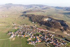 Vue oblique de Quartier Oberrotweil in Vogtsburg im Kaiserstuhl dans le département Bade-Wurtemberg, Allemagne