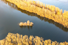 Vue aérienne de Vieille île du Rhin à Leimersheim dans le département Rhénanie-Palatinat, Allemagne