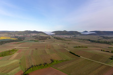 Vue aérienne de Château de Landeck dans le brouillard du matin à Klingenmünster dans le département Rhénanie-Palatinat, Allemagne