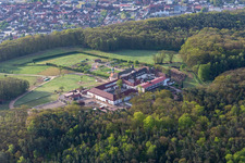 Bad Bergzabern dans le département Rhénanie-Palatinat, Allemagne vue d'en haut