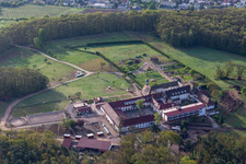 Bad Bergzabern dans le département Rhénanie-Palatinat, Allemagne depuis l'avion