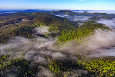 Vue aérienne de Brume matinale sur l'Erlenbach à Bad Bergzabern dans le département Rhénanie-Palatinat, Allemagne