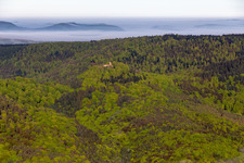Vue aérienne de Ruines du château de Guttenberg à Oberotterbach dans le département Rhénanie-Palatinat, Allemagne