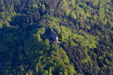 Vue aérienne de Château du Maître des Ânes à Ramberg dans le département Rhénanie-Palatinat, Allemagne