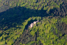 Vue aérienne de Château du Maître des Ânes à Ramberg dans le département Rhénanie-Palatinat, Allemagne