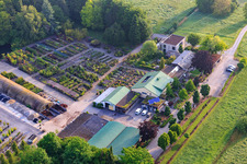 Pépinière Bienwald / Greentec à Berg dans le département Rhénanie-Palatinat, Allemagne depuis l'avion