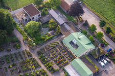 Vue aérienne de Bâtiments et plates-bandes de la pépinière Bienwald, pépinière, paysagiste Greentec GmbH (Palatinat) à Berg dans le département Rhénanie-Palatinat, Allemagne