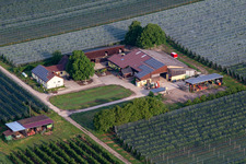 Photographie aérienne de Ferme de fruits et de spagels de Gensheimer à Steinweiler dans le département Rhénanie-Palatinat, Allemagne