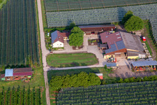Vue oblique de Ferme de fruits et de spagels de Gensheimer à Steinweiler dans le département Rhénanie-Palatinat, Allemagne