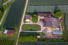 Ferme de fruits et de spagels de Gensheimer à Steinweiler dans le département Rhénanie-Palatinat, Allemagne d'en haut