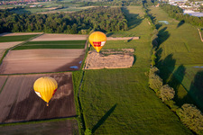 Vue aérienne de Ballons jumeaux Pfalzgas à Steinweiler dans le département Rhénanie-Palatinat, Allemagne
